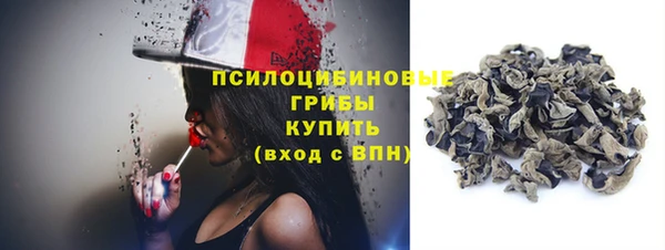 прущие крисы Снежногорск