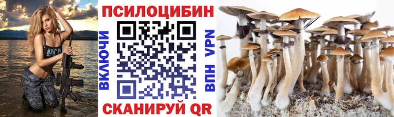 продажа наркотиков  Дзержинский  Галлюциногенные грибы ЛСД 
