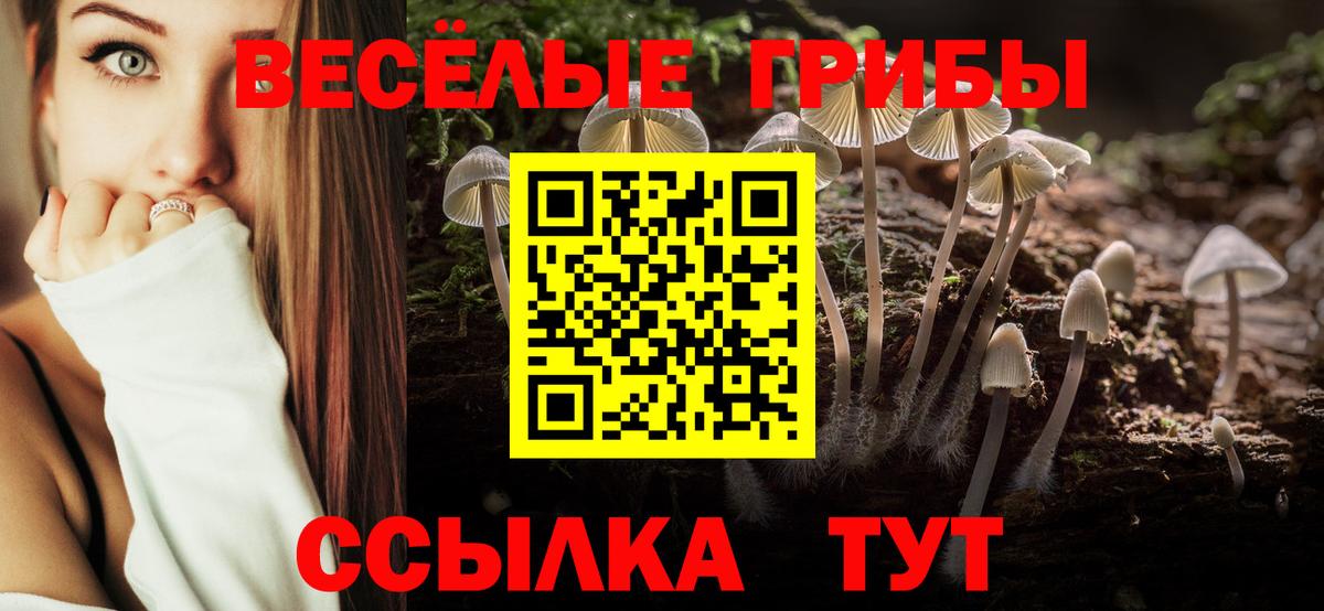 Псилоцибиновые грибы мицелий  Вход с VPN  даркнет сайт  Дзержинский 